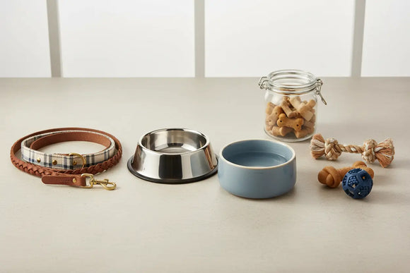 Dog essentials