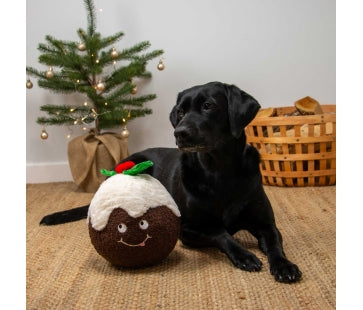 Ancol Christmas - Colin Christmas Pud