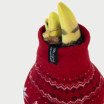 Amaryllis - 3 pcs. - Hippeastrum 'Christmas Sweater' - Flower Bulb - Red