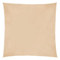 Cloth Awning 300 x 300 x 0,5 cm Beige Polyethylene