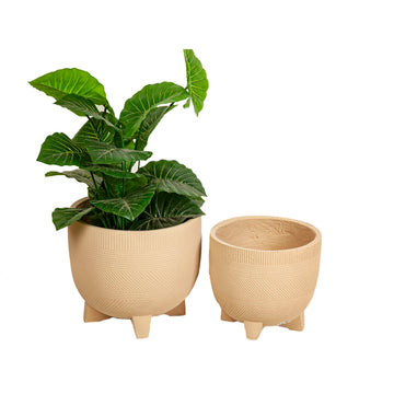 Set of Planters Romimex White Beige Legs (2 Pieces)