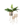 Set of Planters Romimex Rattan Legs (3 Pieces)