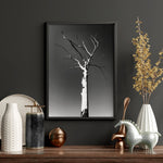 Large Picture Living Room | Set of 3 African Wildlife Wall art Prints