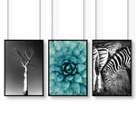 Large Picture Living Room | Set of 3 African Wildlife Wall art Prints