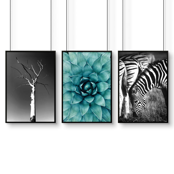 Large Picture Living Room | Set of 3 African Wildlife Wall art Prints