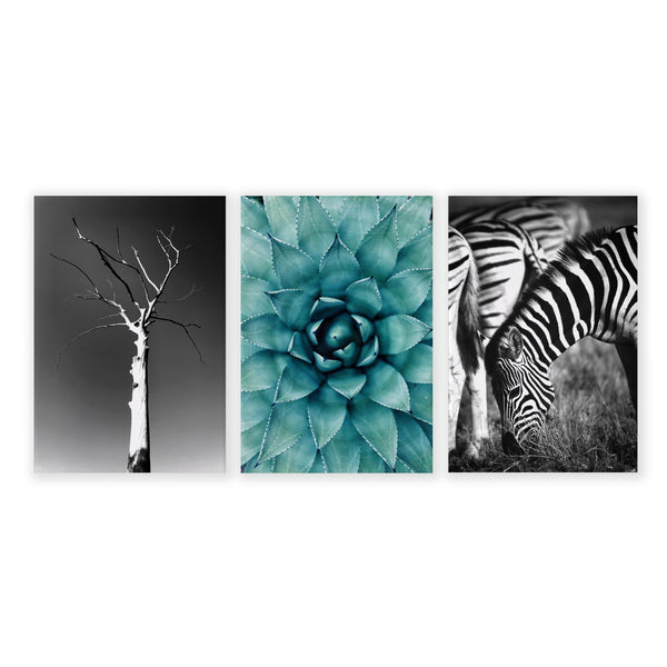 Large Picture Living Room | Set of 3 African Wildlife Wall art Prints