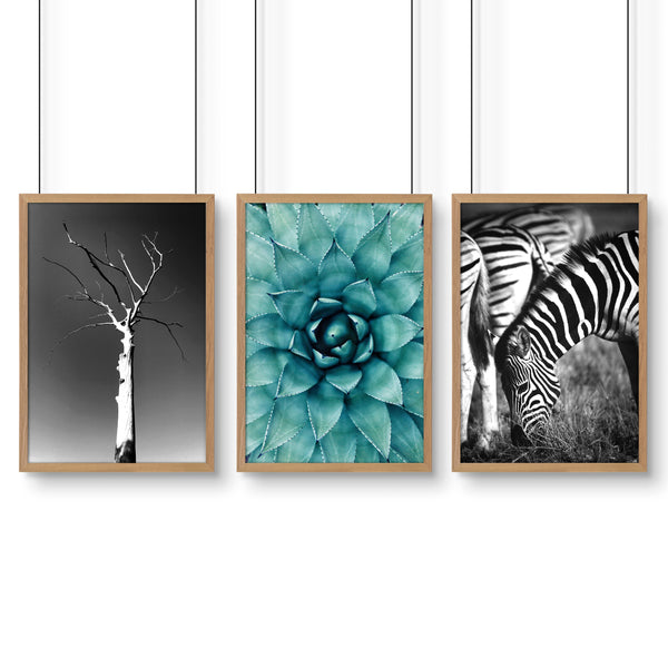 Large Picture Living Room | Set of 3 African Wildlife Wall art Prints