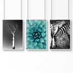 Large Picture Living Room | Set of 3 African Wildlife Wall art Prints