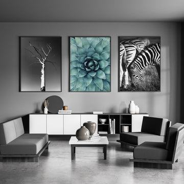 Large Picture Living Room | Set of 3 African Wildlife Wall art Prints