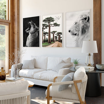 Wall Art For Living Room Canvas | Set of 3 African Wildlife Wall art Prints