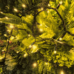 Pro Link Connectable Outdoor LED Fairy String Lights - Elite Outdoor Living