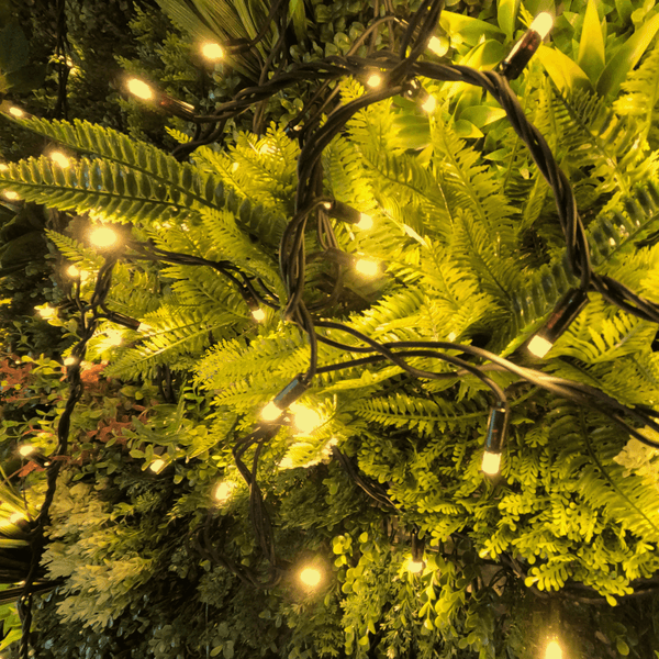 Pro Link Connectable Outdoor LED Fairy String Lights - Elite Outdoor Living