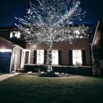 Pro Link Connectable Outdoor LED Fairy String Lights - Elite Outdoor Living