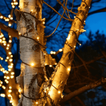 Pro Link Connectable Outdoor LED Fairy String Lights - Elite Outdoor Living